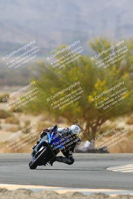 media/Apr-10-2022-SoCal Trackdays (Sun) [[f104b12566]]/Turn 5 Tree of Life (1040am)/